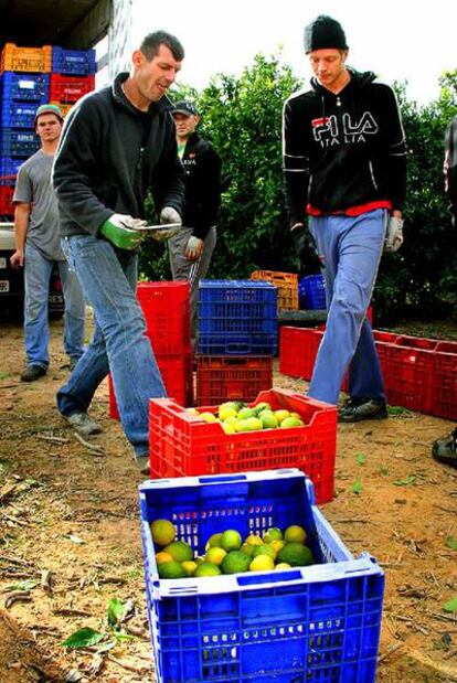 Trabajadores búlgaros y rumanos ayer, en la zona de Calicanto, cerca de Torrent.