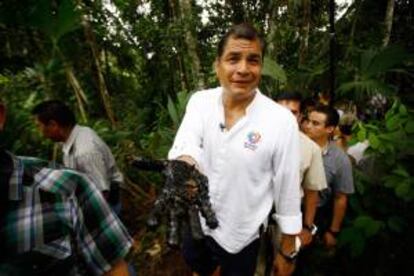 El presidente de Ecuador Rafael Correa muestra su mano manchada de crudo de un reservorio antiguo de desechos petroleros el 17 de septiembre de 2013, en el pozo Aguarico 4 en la Amazonía (Ecuador), para demostrar la "mano negra de Chevron", compañía condenada a una millonaria indemnización por daños ambientales en la selva.