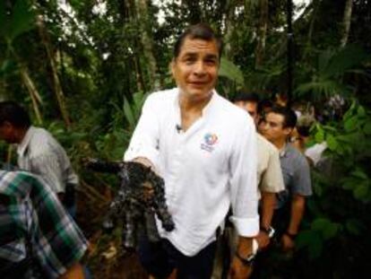 El presidente de Ecuador Rafael Correa muestra su mano manchada de crudo de un reservorio antiguo de desechos petroleros el 17 de septiembre de 2013, en el pozo Aguarico 4 en la Amazonía (Ecuador), para demostrar la "mano negra de Chevron", compañía condenada a una millonaria indemnización por daños ambientales en la selva.