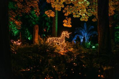 El Jardín Botánico estrena con 'Las Luces del Botánico' las instalaciones 'Christmas Garden' que ya han triunfado en ciudades como Berlín. |