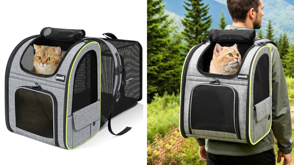 Mochila-transportín que está disponible en varios tamaños.