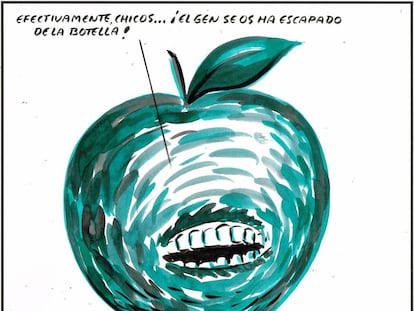El Roto
