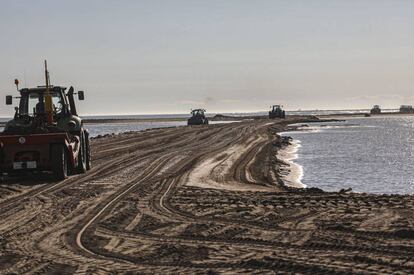 Obras de recuperación de la barra del Trabucador, en el Delta de l'Ebre.