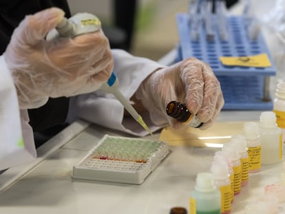 Un laboratorio analiza muestras de test de la covid-19.