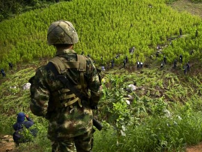 Erradicadores de cultivos de coca em Antioquia.