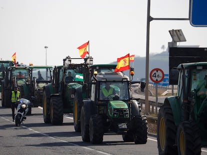 GRAFAND8598. CÓRDOBA, 06/02/2024.- Agricultores montados en sus tractores llegan a Córdoba este martes tras partir de distintos puntos de la provincia cordobesa para exigir mejoras en la situación del campo andaluz. EFE/Salas
