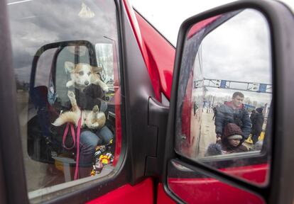 Varias personas que huyen de Ucrania se preparan para tomar un minibús que los llevará al cruce fronterizo entre Ucrania y Moldavia, el 13 de marzo. Los refugiados a su entrada a Moldavia reciben provisiones para ellos y sus mascotas, para después embarcar en un viaje a la capital, Chisinau, a Polonia o a Alemania.