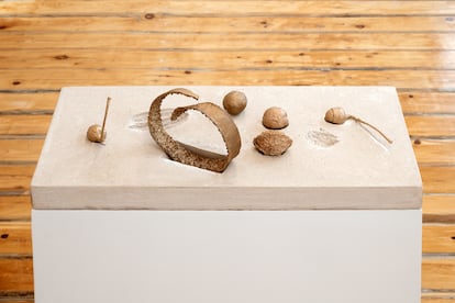 Imagen pertenieciente a la exposición 'Soy Fuego' de Hannah Collins en la galeria Prats Nogueras Blanchard.
Cortesía Prats Nogueras Blanchard Madrid.