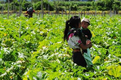 Una madre con su hijo en una granja de Chimaltenango (Guatemala).