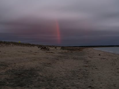 El ataque de Chrissie. En Cow Bay, una de las playas de la isla de Martha’s Vineyard, se produce el ataque y la muerte de Chrissie, la primera víctima del tiburón de la película de Spielberg. El rayo de sol dibuja sobre la playa una alegoría de sangre.