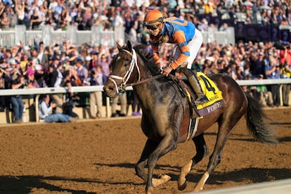 Irad Ortiz Jr. rides Forte horse at Keenelend Race Course, Friday, Nov. 4, 2022