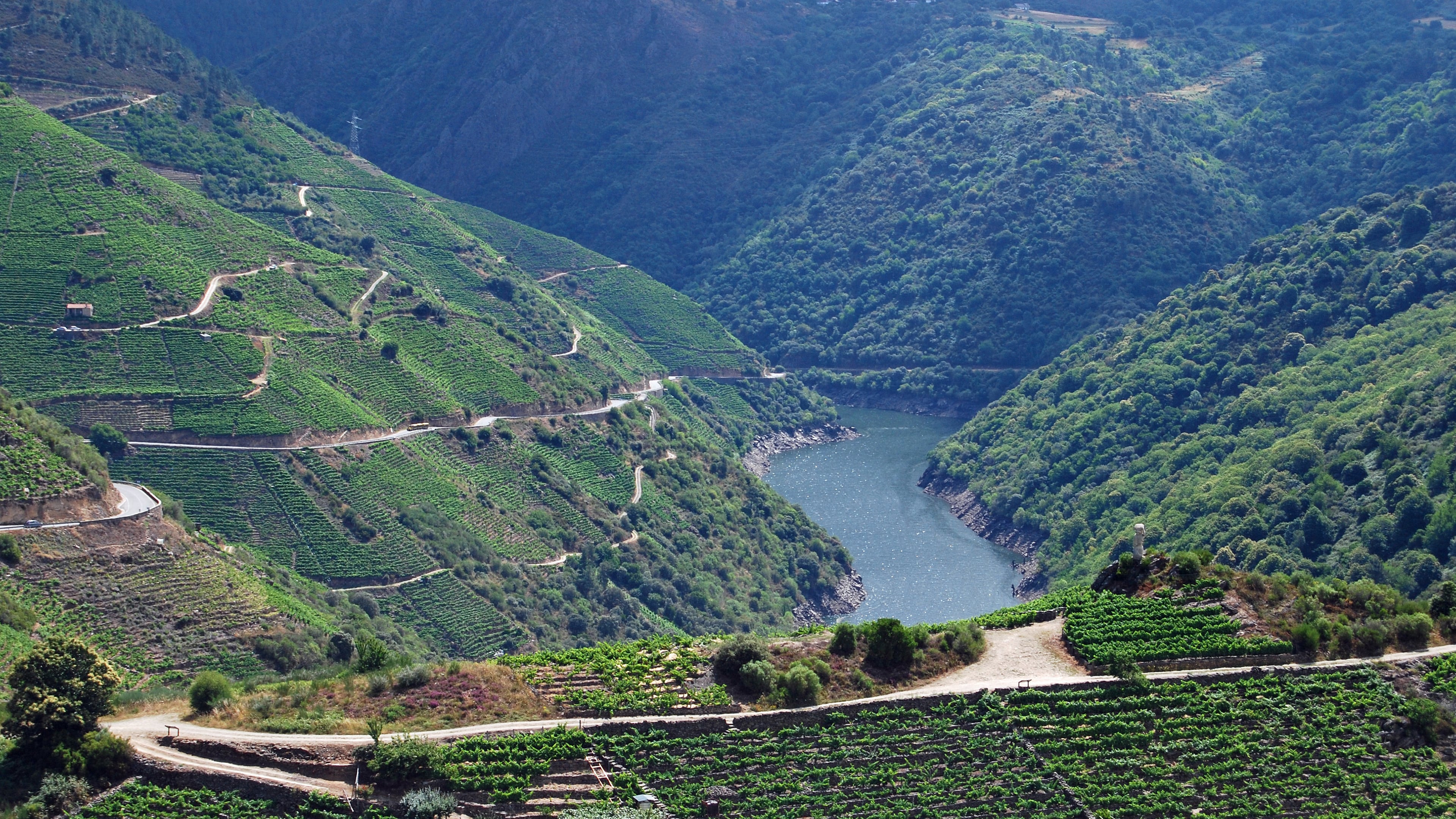 Viñedos en la Ribeira Sacra.