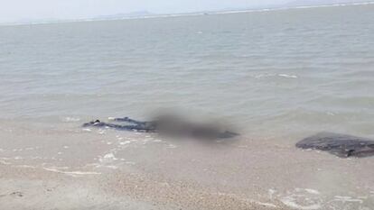 Uno de los cadáveres que apareció en una playa del Estado mexicano de Oaxaca, el 29 de marzo.