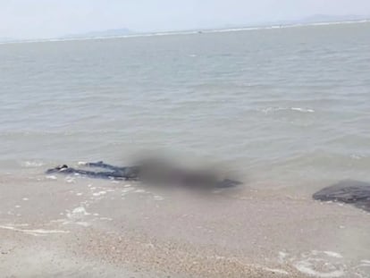 Uno de los cadáveres que apareció en una playa del Estado mexicano de Oaxaca, el 29 de marzo.