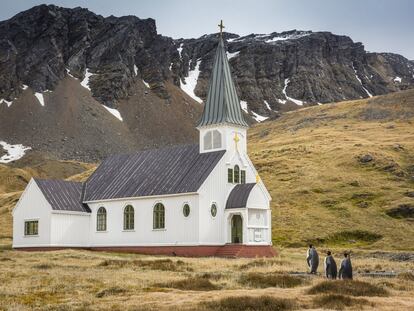 Vestidos e prontos para ir à igreja. “Mãe, temos de ser sempre os primeiros a ir à igreja?”. O fotógrafo norte-americano Carl Henry imagina a conversa dos pinguins que olham para esta igreja em Grytviken, nas Ilhas Geórgias do Sul (território britânico de ultramar no Oceano Atlântico). São os pinguins-rei.