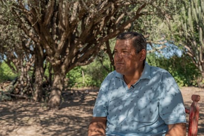 Elpidio Palavecino bajo la sombra de árboles de algarrobo en Paraje Nueva Población, en la provincia de Chaco (Argentina).