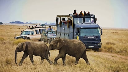 Tres safaris de lujo para despedir el año en África