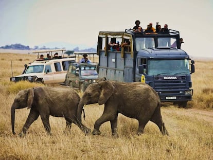 Tres safaris de lujo para despedir el año en África