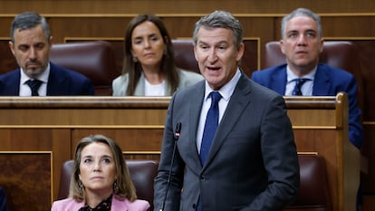 El presidente del PP, Alberto Núñez Feijóo, durante su intervención en la sesión de control celebrada este miércoles en el Congreso.