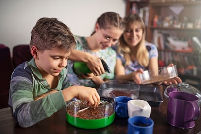 Unos niños siembran varias semillas en casa.