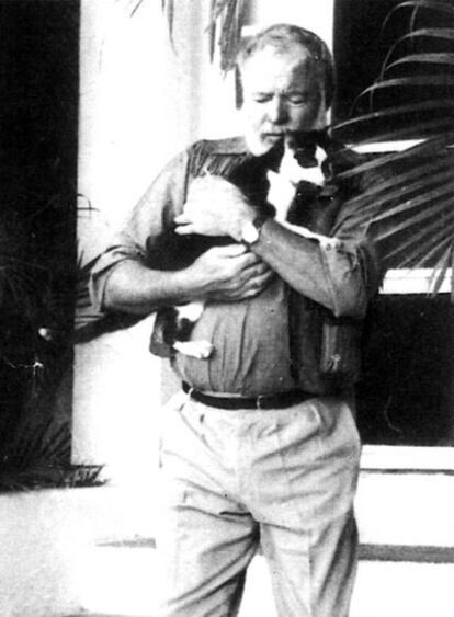 Hemingway, con su gato <i>Colón, </i>en su casa de Finca Vigía.