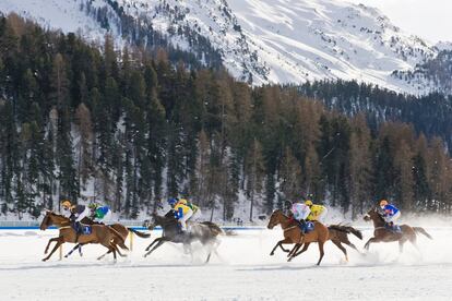 <b> <p>Al galope sobre el lago</b> </p>	
Monturas y jinetes de toda Europa acuden cada invierno desde 1907 a St. Moritz, en la región suiza de la Alta Engadina, para participar en las White Turf, carreras de caballos que se celebran sobre la superficie helada del lago (en 2019, el 3, 10 y 17 de febrero). Darse un baño caliente al raso en las piscinas termales de Leukerbad, en el cantón del Valais, donde el agua está a una temperatura de entre 28 y 43 grados, es otra de las experiencias invernales que se subrayan en la web de Turismo de Suiza. Para el alojamiento, destacan hoteles como The Cambrian, un <i>resort </i>de montaña en Adelboden, con interiorismo de Peter Silling. La impresionante piscina exterior de su spa, de 750 metros cuadrados, tiene asombrosas vistas a los Alpes berneses. Cuesta desde 209 euros la noche (dos personas, con desayunos y acceso al <i>spa</i>).