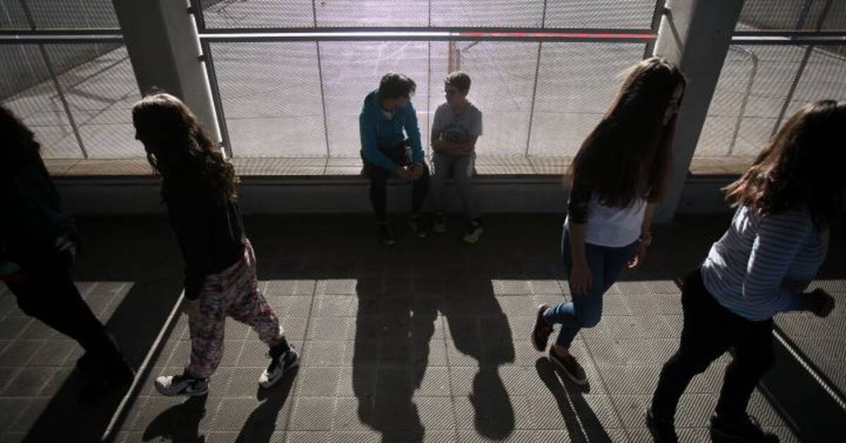 Los casos de acoso escolar se duplican en Euskadi | Noticias del País ...