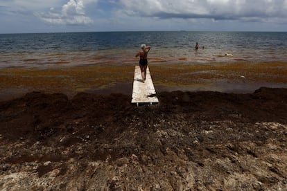 A woman walks on a bridge surrounded by sargassum in Puerto Morelos, near Cancun.