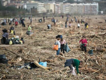 Centenars de voluntaris s’organitzen per netejar les platges malmeses pel temporal