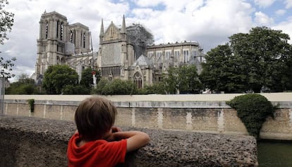 Un niño observa la catedral de Notre Dame .