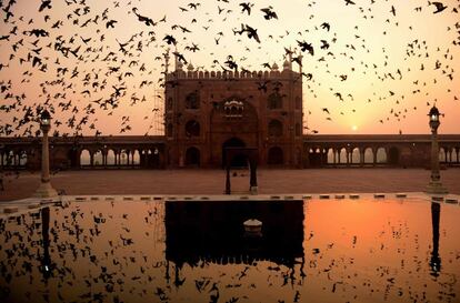 Pajaros vuelan sobre la mezquita Jama Masjid, en Delhi (India).