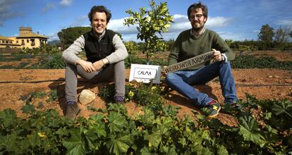 Gonzalo Úrculo (izquierda) y su hermano Gabriel, con los naranjos de su empresa.