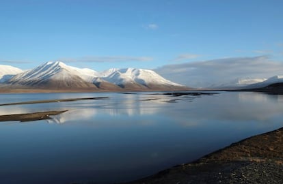 Entre placa de hielo y renos pastando, en Longyearbyen uno puede encontrar con sorprendente facilidad restaurantes donde degustar platos típicos de la gastronomía tailandesa. "Esto se debe a que un gran número de tailandeses se ha asentado en la ciudad durante los últimos años y han impuesto su cocina en la isla. Tanto es así, que resulta más fácil comer un plato de curry tailandés que un filete de trucha a la plancha", asegura Javier Revierte. Pero no es esta la única cocina foránea que se ha impuesto a 1.000 kilómetros del Polo Norte. Las calles de la capital de Svalbard acogen, además, locales de comida china o italiana.