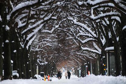 Varias personas pasean por una calle nevada de Estocolmo, capital de Suecia.