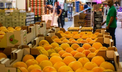 España tiene un sector primario fuerte, pero cuando una fruta no está en temporada, se importa de otros países, en un proceso llamado “contraestación”. Es el caso de los melocotones, que en invierno llegan principalmente de Latinoamérica. De esta zona también se importan frutos de origen tropical como el mango, la piña y la papaya.