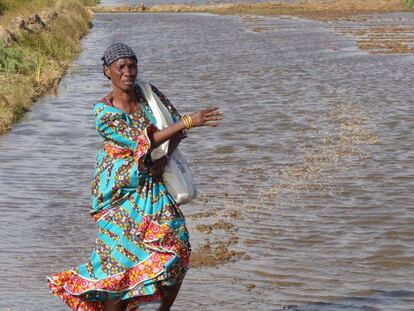 La agricultora Ndeye Gaye, en una de sus 32 hectáreas de arroz, en Ross Bethio, Senegal.