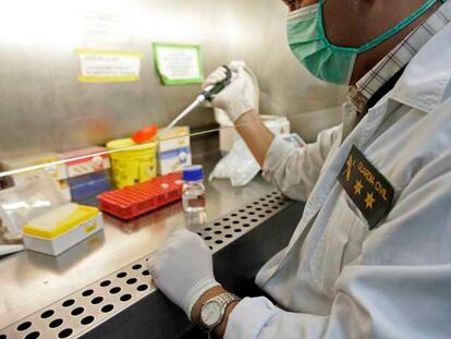 Muestra de ADN en un tubo de ensayo