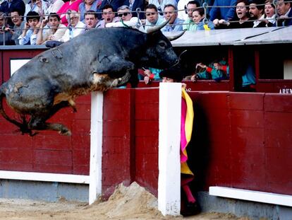 'Taponero' salta la barrera en el festejo de este domingo.