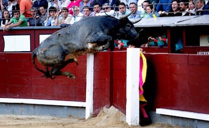 'Taponero' salta la barrera en el festejo de este domingo.