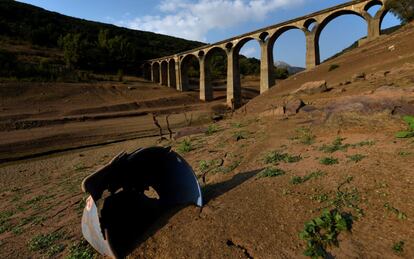 Las plantas empiezan a florecer en el fondo del embalse Barrios de Luna, en León.