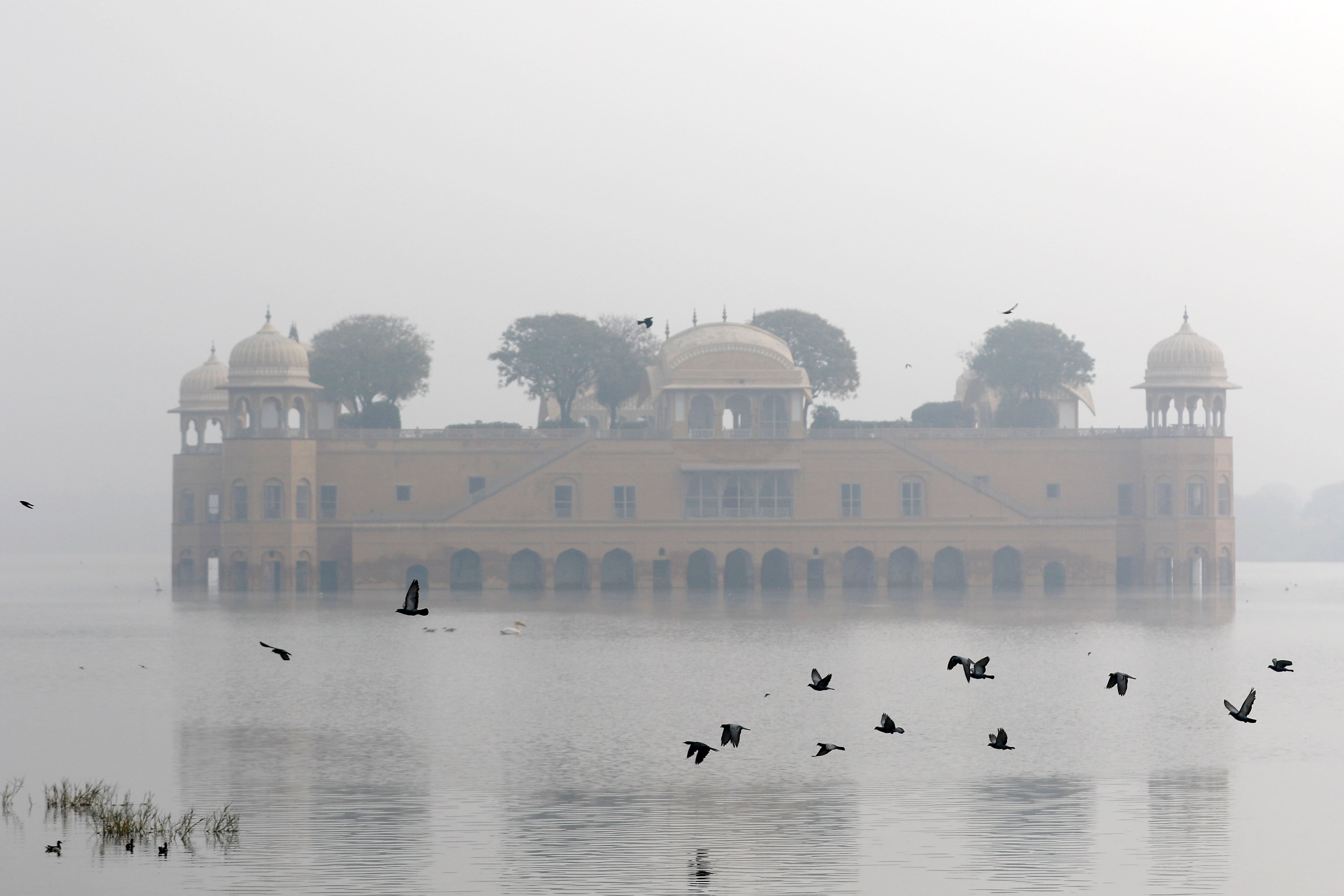 Los ocho libros de la semana