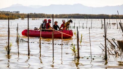 Equipos de la UME participan en labores de búsqueda de desaparecidos en la Albufera, el 11 de noviembre.