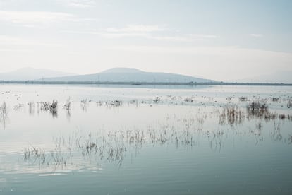 Parque Ecológico Lago de Texcoco, el 21 de noviembre del 2024.