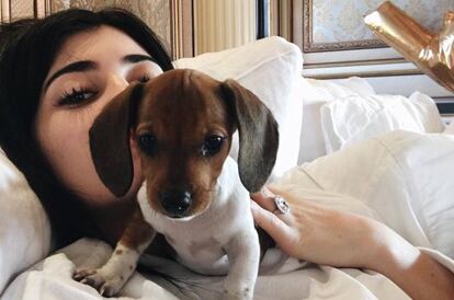 Kylie Jenner junto a su mascota, 'Bambi'.