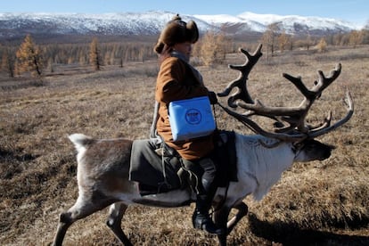 Una mujer viaja en reno a un área remota de Mongolia para llevar vacunas, en 2012.