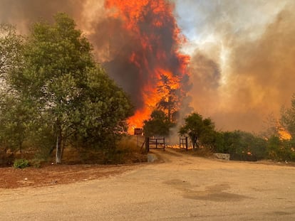 El fuego y el humo se elevan mientras un incendio forestal arde cerca de la Reserva Nacional Lago Peñuelas, en la región de Valparaíso, Chile, 2 de febrero de 2024.
