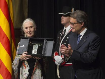 Jane Goodall muestra el premio Internacional Catalu&ntilde;a ante los aplausos del presidente Mas. 