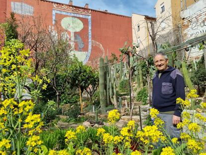 Antonio Alfaro en 'Esta es una plaza', en Lavapiés (Madrid), rodeado de las plantas de la huerta y cactus.