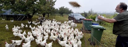 Una explotaci&oacute;n de gallinas ecol&oacute;gica en Alemania, uno de los pa&iacute;ses donde este tipo de producto tiene m&aacute;s predicamento. 