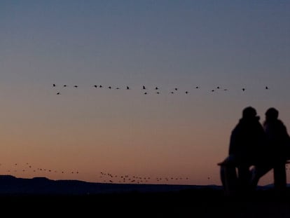Amanecer en la laguna de Gallocanta, donde limitan Zaragoza y Teruel, humedal donde pasan el invierno miles de aves migratorias, sobre todo grullas.